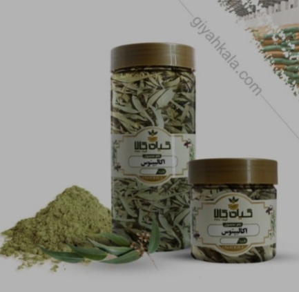 گیاه اکالیپتوس خشک یا پودری بسته بندی شده + فروش صادراتی